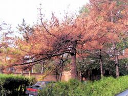 红桥区烈士陵园天气 红桥区烈士陵园天气