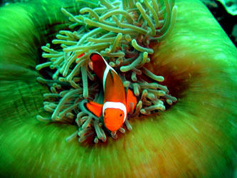 天津渤海儿童世界天气 天津渤海儿童世界天气