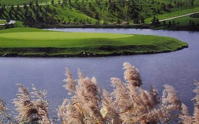 天津龙海国际乡村俱乐部天气 天津龙海国际乡村俱乐部天气