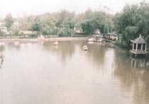 红桥西沽公园天气 红桥西沽公园天气