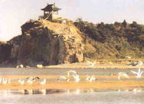 北戴河鸽子窝公园天气 北戴河鸽子窝公园天气