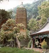 天津天成寺舍利塔天气 天津天成寺舍利塔天气