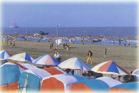 唐山乐亭海滨旅游区天气 唐山乐亭海滨旅游区天气