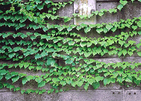 保定曲阳桥乡天气 保定曲阳桥乡天气