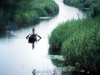 保定白洋淀渔人乐园天气 保定白洋淀渔人乐园天气