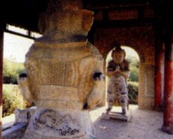 沧州南皮石金刚天气 沧州南皮石金刚天气