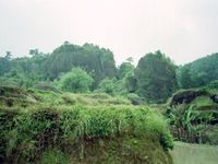 沧州吴桥杂技民俗风情园天气 沧州吴桥杂技民俗风情园天气