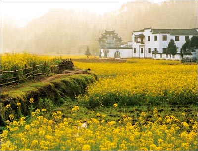 上饶婺源天气 上饶婺源天气