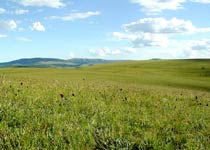 克什克腾旗贡格尔草原天气 克什克腾旗贡格尔草原天气