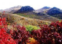 阿鲁科尔沁旗罕山风景区天气 阿鲁科尔沁旗罕山风景区天气