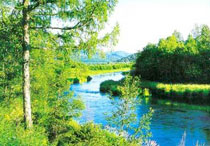 鄂伦春旗达尔滨湖国家森林公园天气 鄂伦春旗达尔滨湖国家森林公园天气