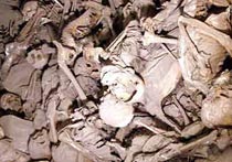 海拉尔万人坑天气 海拉尔万人坑天气