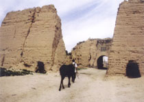 大同得胜马市天气 大同得胜马市天气