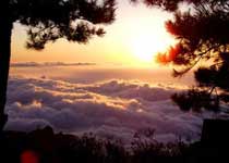 陵川王莽岭风景区天气 陵川王莽岭风景区天气