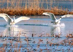 芮城圣天湖天气 芮城圣天湖天气