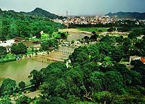 黄埔丹水坑风景区天气 黄埔丹水坑风景区天气