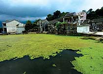 盐田坝光村天气 盐田坝光村天气