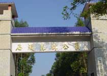 东莞虎门石洞森林公园天气 东莞虎门石洞森林公园天气