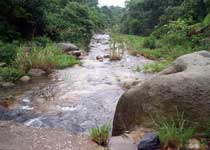 英德石门台自然保护区天气 英德石门台自然保护区天气