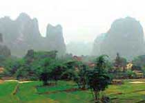 阳山称架自然保护区天气 阳山称架自然保护区天气