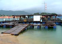 河源水月湾天气 河源水月湾天气