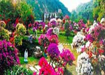 梧州太和花园天气 梧州太和花园天气