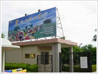 广州水果世界天气 广州水果世界天气