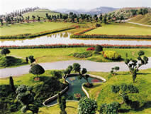 广州裕达隆花园天气 广州裕达隆花园天气