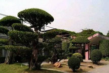 珠海农业科学研究中心天气 珠海农业科学研究中心天气