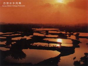 鹤山古劳水乡天气 鹤山古劳水乡天气