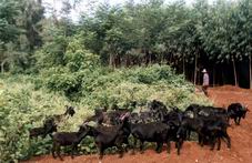 湛江徐闻广安村天气 湛江徐闻广安村天气