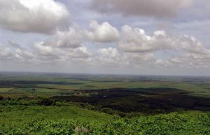 湛江螺岗岭天气 湛江螺岗岭天气
