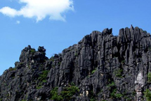 阳江莲花垌天气 阳江莲花垌天气