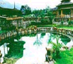 清新温矿泉度假村天气 清新温矿泉度假村天气