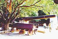 东莞威远炮台天气 东莞威远炮台天气