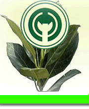 中山丰本农业科技园天气 中山丰本农业科技园天气