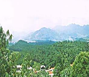 揭阳埔田生态农业观光天气 揭阳埔田生态农业观光天气