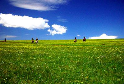 大同灵丘空中草原天气 大同灵丘空中草原天气