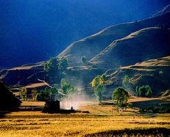 大同云冈国家森林公园天气 大同云冈国家森林公园天气