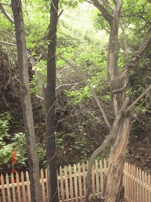 阳泉翠枫山天气 阳泉翠枫山天气