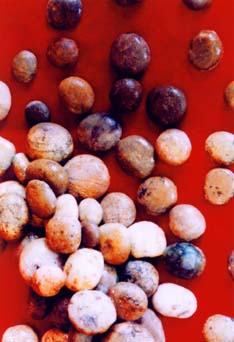 晋城陵川棋子山天气 晋城陵川棋子山天气