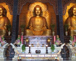 忻州白佛堂天气 忻州白佛堂天气