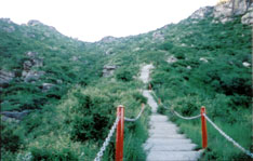 呼和浩特呼市哈达门国家森林公园天气 呼和浩特呼市哈达门国家森林公园天气