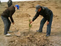 赤峰翁牛特旗天气 赤峰翁牛特旗天气