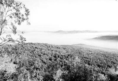 呼伦贝尔绰源生态旅游区天气 呼伦贝尔绰源生态旅游区天气