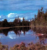 呼伦贝尔乌兰泡天气 呼伦贝尔乌兰泡天气