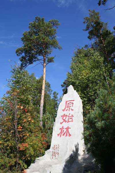 兴安盟莫尔道嘎天气 兴安盟莫尔道嘎天气