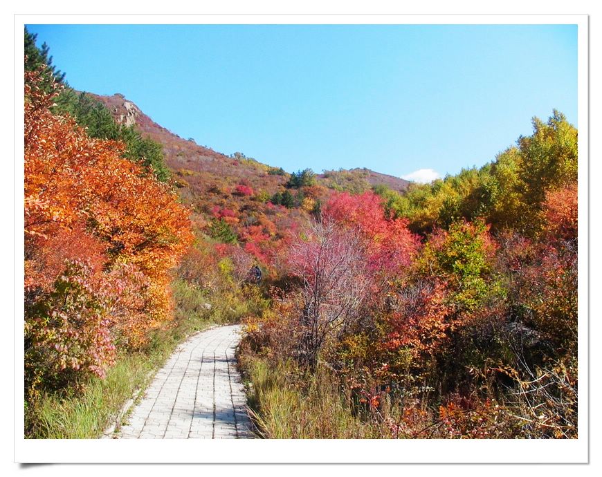 凉城乌盟二龙什台天气 凉城乌盟二龙什台天气