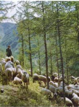 兴和乌盟苏木山天气 兴和乌盟苏木山天气