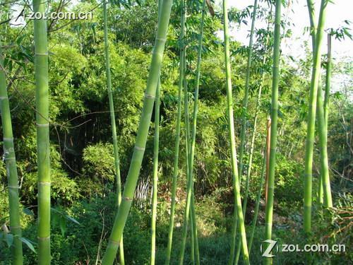 南宁乡村大世界天气 南宁乡村大世界天气